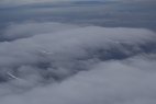 DSC08773